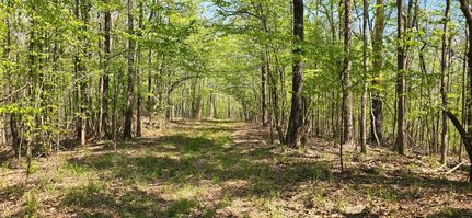 Farm Property for sale in Carroll County, Mississippi