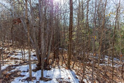 Farm Property for sale in Amherst County, Virginia