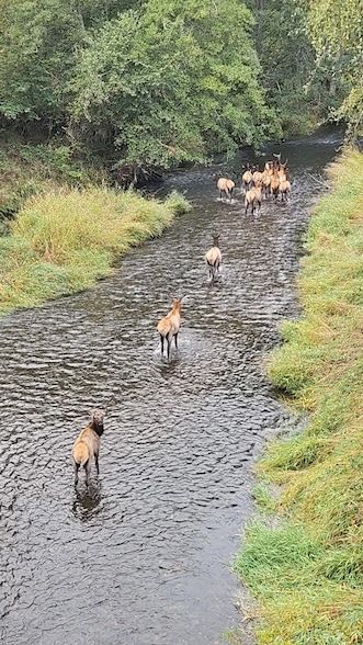 Farm Property for sale in Douglas County, Oregon