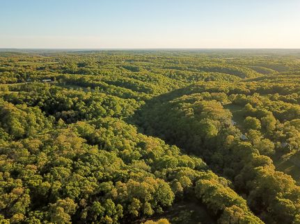 Farm Property for sale in Barry County, Missouri