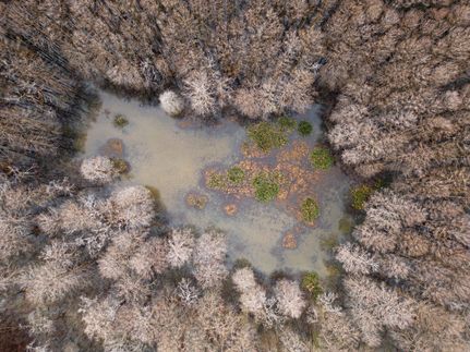 Farm Property for sale in Jefferson County, Mississippi