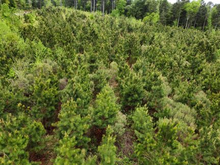 Hunting Land for sale in Smith County, Texas