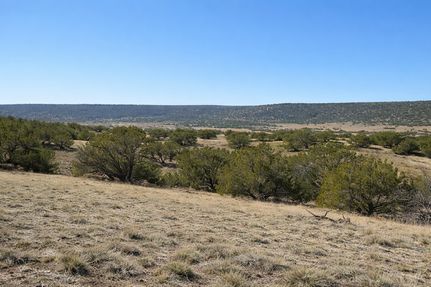 Ranch Property for sale in Navajo County, Arizona