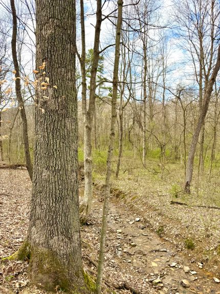 Timberland Property for sale in Ross County, Ohio