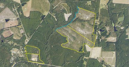 Farm Property for sale in Emanuel County, Georgia