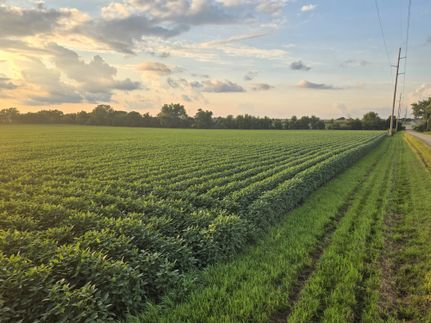 Farm Property for sale in Lee County, Illinois