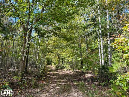 Ranch Property for sale in Buckingham County, Virginia