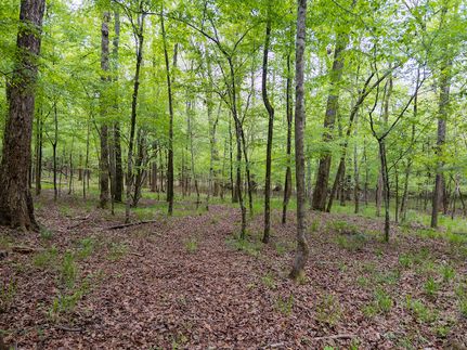 Farm Property for sale in Twiggs County, Georgia