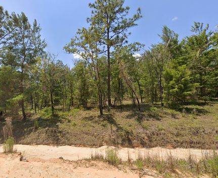 Undeveloped Land for sale in Putnam County, Florida