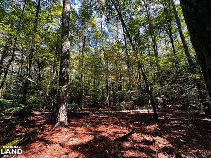 Farm Property for sale in Gloucester County, Virginia