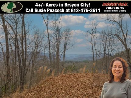 Residential Property for sale in Swain County, North Carolina