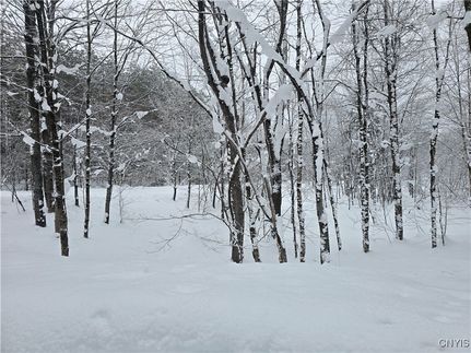 Recreational Property for sale in Oneida County, New York