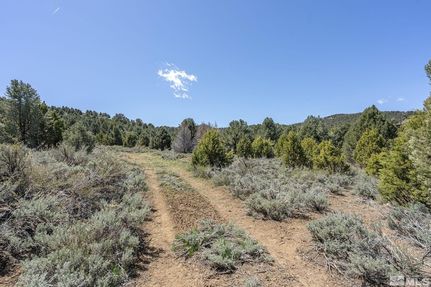 Farm Property for sale in Storey County, Nevada