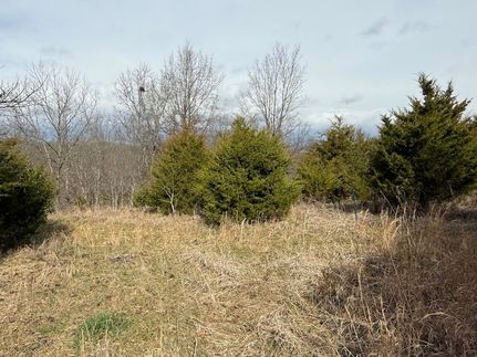 Ranch Property for sale in Bracken County, Kentucky