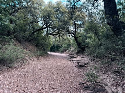 Ranch Property for sale in McCulloch County, Texas