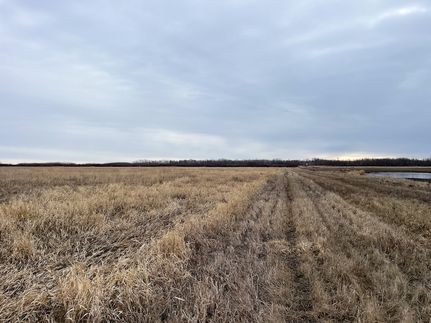 Timberland Property for sale in Pennington County, Minnesota