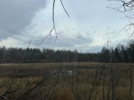 Ranch Property for sale in Oscoda County, Michigan