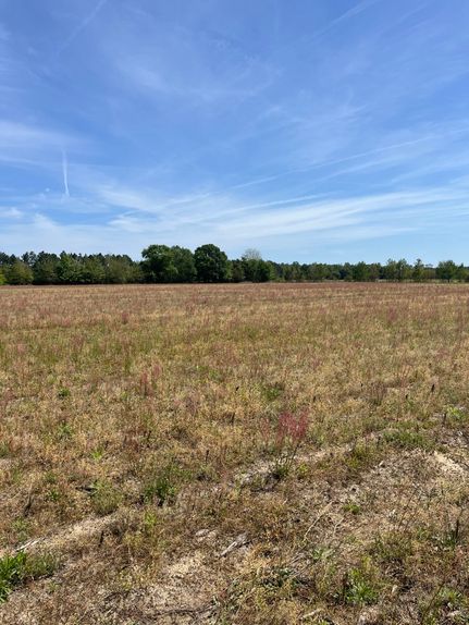 Farm Property for sale in Dillon County, South Carolina