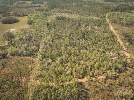 Timberland Property for sale in Madison County, Florida