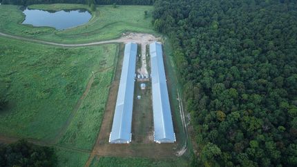 Farm Property for sale in Polk County, Arkansas