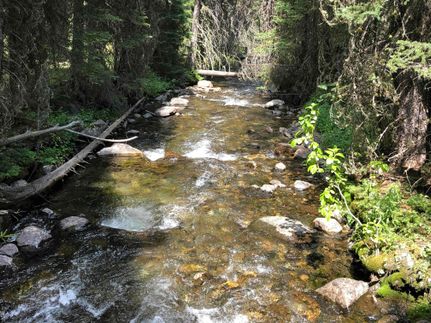 Residential Property for sale in Madison County, Montana