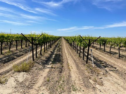 Farm Property for sale in Fresno County, California