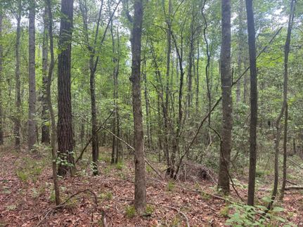 Farm Property for sale in Simpson County, Mississippi