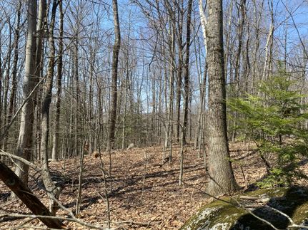 Ranch Property for sale in Hampden County, Massachusetts