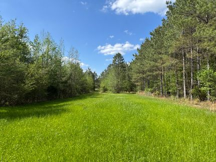 Residential Property for sale in Leake County, Mississippi