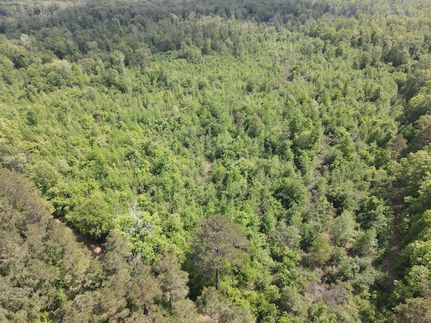 Undeveloped Land for sale in Ashley County, Arkansas