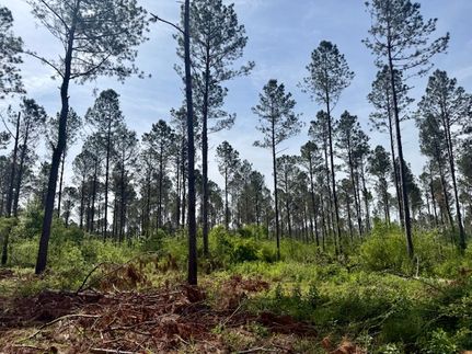 Recreational Property for sale in Lawrence County, Mississippi
