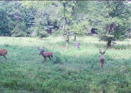 Farm Property in Carter County, Missouri