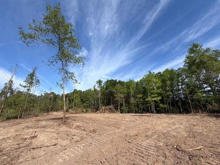 Timberland Property for sale in Clarke County, Mississippi