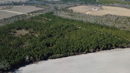 Recreational Property for sale in Bacon County, Georgia