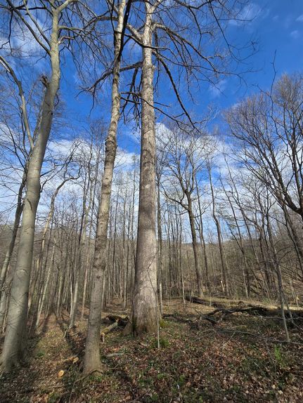 Ranch Property for sale in Franklin County, Indiana
