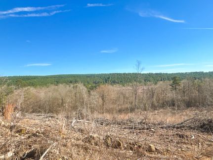 Recreational Property for sale in Pike County, Arkansas