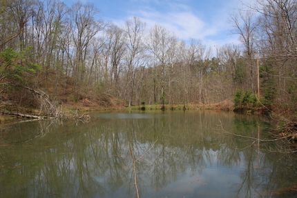 Timberland Property for sale in Frederick County, Virginia