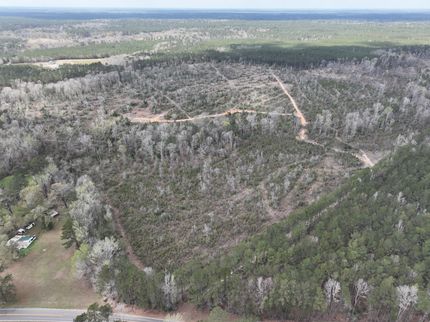 Undeveloped Land for sale in Rapides Parish, Louisiana