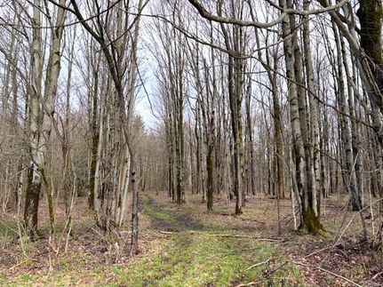 Ranch Property for sale in Chautauqua County, New York