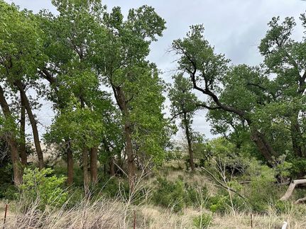 Ranch Property for sale in Dewey County, Oklahoma