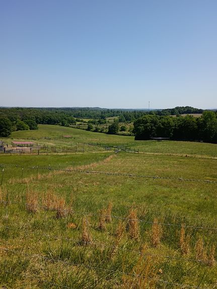 Farm Property for sale in Talladega County, Alabama