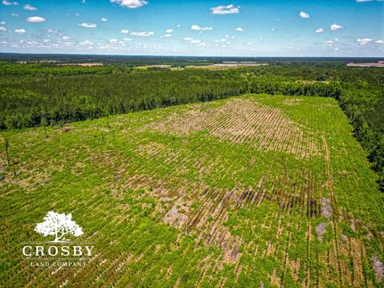 Farm Property for sale in Hoke County, North Carolina