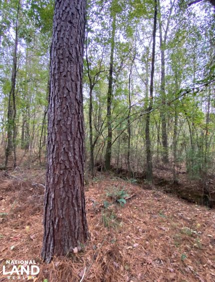 Ranch Property for sale in Shelby County, Alabama