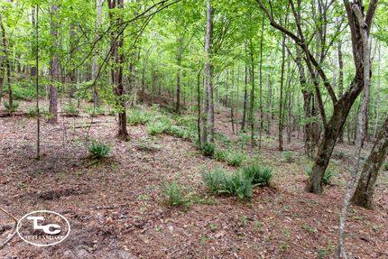 Residential Property for sale in Greene County, Alabama