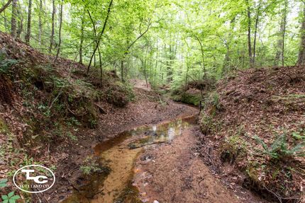 Ranch Property for sale in Greene County, Alabama