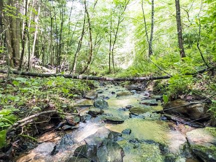 Recreational Property for sale in Raleigh County, West Virginia