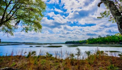 Timberland Property for sale in Camden County, Georgia