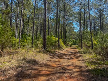 Timberland Property for sale in Webster County, Georgia