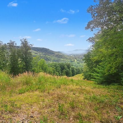 Farm Property for sale in Tioga County, Pennsylvania