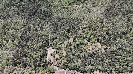 Ranch Property for sale in Collier County, Florida